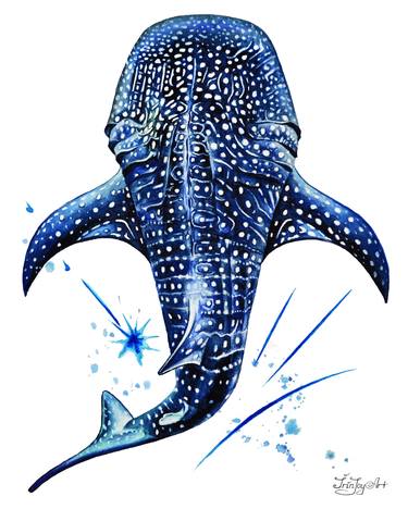 Sea Ocean Blue Whale Shark Watercolour Wall Art Room Decor thumb