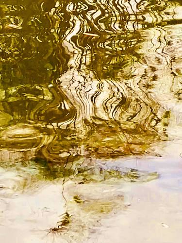Print of Abstract Expressionism Nature Photography by Brooke Bastinelli