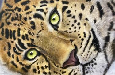 Original Animal Paintings by Johan De Champs