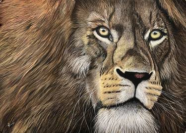 Original Photorealism Animal Paintings by Johan De Champs