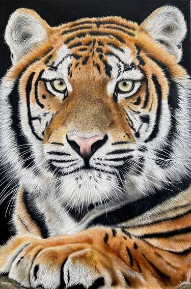 Original Contemporary Animal Paintings by Johan De Champs