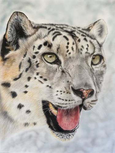 Print of Fine Art Animal Paintings by Johan De Champs