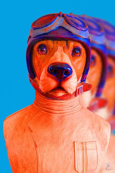 Original Pop Art Animal Photography by Jean-Marc AMBROSINI