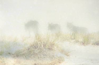 Original Impressionism Animal Photography by Henri ODABAS