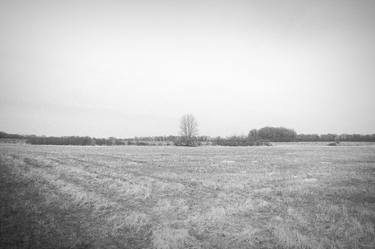 In the cold fields  - thumb