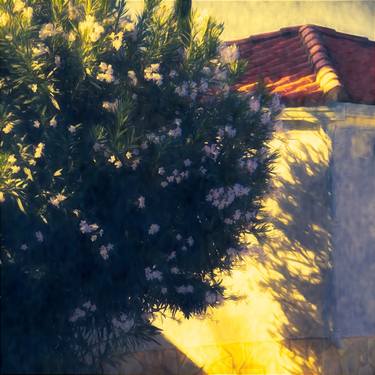 Original Impressionism Floral Photography by Henri ODABAS