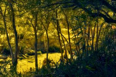 Original Impressionism Nature Photography by Henri ODABAS