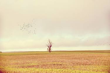 Original Fine Art Landscape Photography by Henri ODABAS