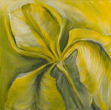 Yellow iris thumb