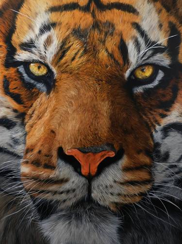 Original Photorealism Animal Paintings by Tristan SAINT MICHEL