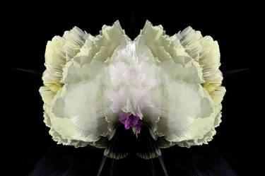 Print of Pop Art Floral Photography by Pierre Rebetez