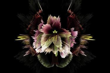 Print of Fine Art Floral Photography by Pierre Rebetez