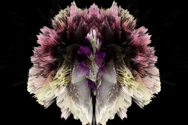 Original Floral Photography by Pierre Rebetez