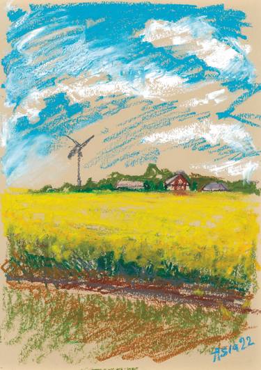 "Zealand. Raps fields 1" golden field spring landscape thumb