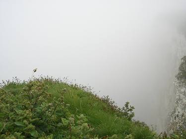 sea fret, bempton cliffs thumb