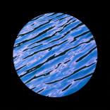 Amnios VII - Limited Edition of 5 by Danilo Cardone