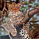Collection Road '2' Africa (African Wildlife)