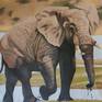 Collection Road '2' Africa (African Wildlife)