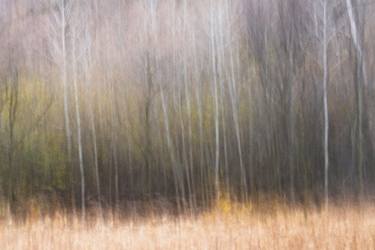 Original Abstract Landscape Photography by David Ellis