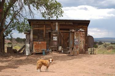 Guard Dog. Navajo Nation thumb