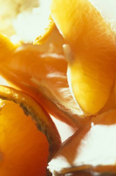 Print of Abstract Food Photography by Rob Silverman