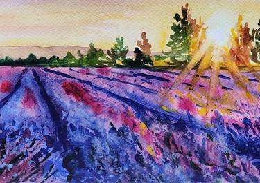 Serenity in Purple: Lavender Fields thumb