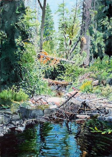 Original Landscape Paintings by Jackson Boelts