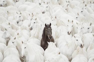 Original Conceptual Horse Photography by Jorge Omeñaca