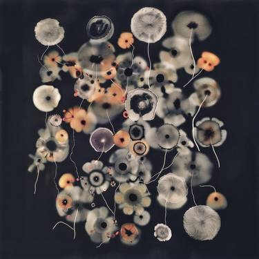 Original Fine Art Abstract Photography by Jorge Omeñaca