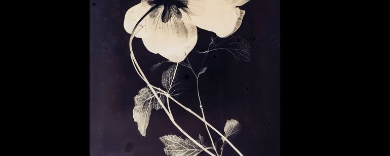 Original Fine Art Abstract Photography by Jorge Omeñaca