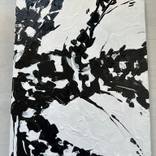 Black and white by Laura Vizbule