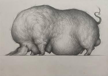 Original Fine Art Animal Drawings by Dmitrii Drugakov