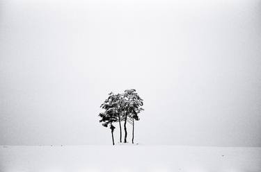 Original Fine Art Nature Photography by Jae Lee