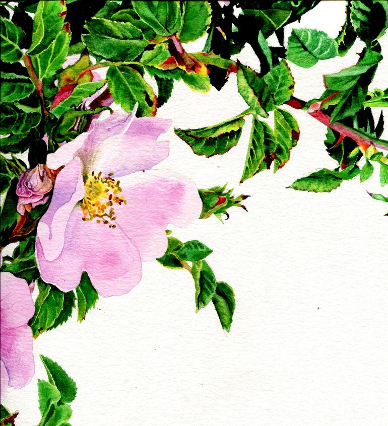 Original Illustration Floral Drawing by Anastasia Ladatko
