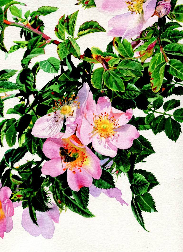 Original Illustration Floral Drawing by Anastasia Ladatko