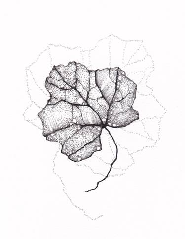 Original Minimalism Nature Drawings by Gourdon Frédérique