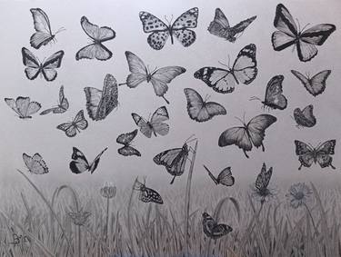 Print of Fine Art Nature Drawings by Brayan Muñoz Castro