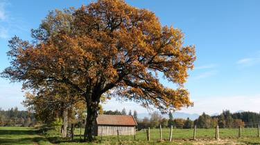 Original Realism Landscape Photography by Regina and Peter Berwein