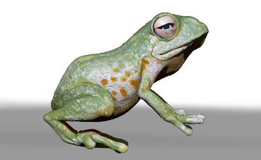 CG Frog 2 thumb