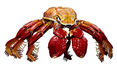 Red Crab thumb