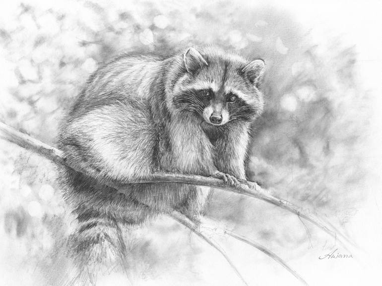 Wildlife Sketch I Drawing by Ariana Boicenco