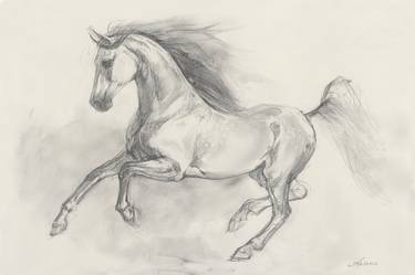 Horse Sketch I thumb