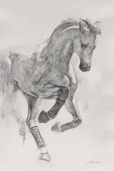 Horse Sketch II thumb