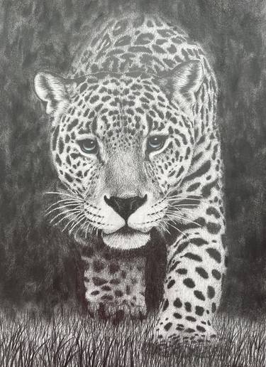 Original Animal Drawings by Andrada Durantel