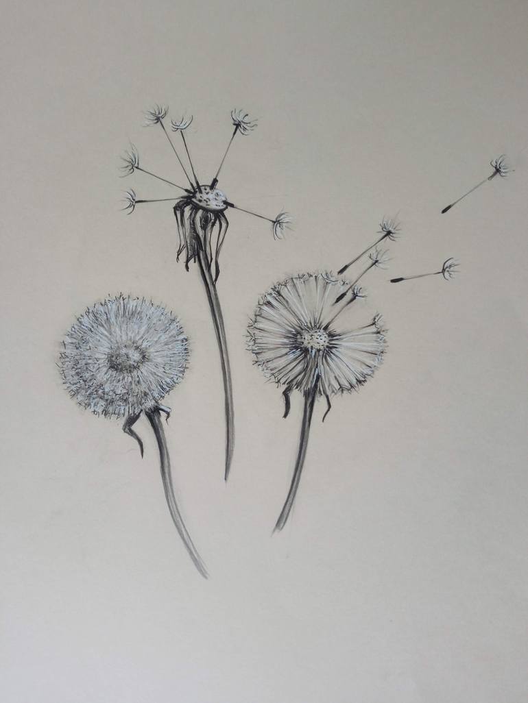 Original Botanic Drawing by Marina Pashkovska