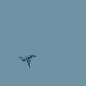 The Deep Blue