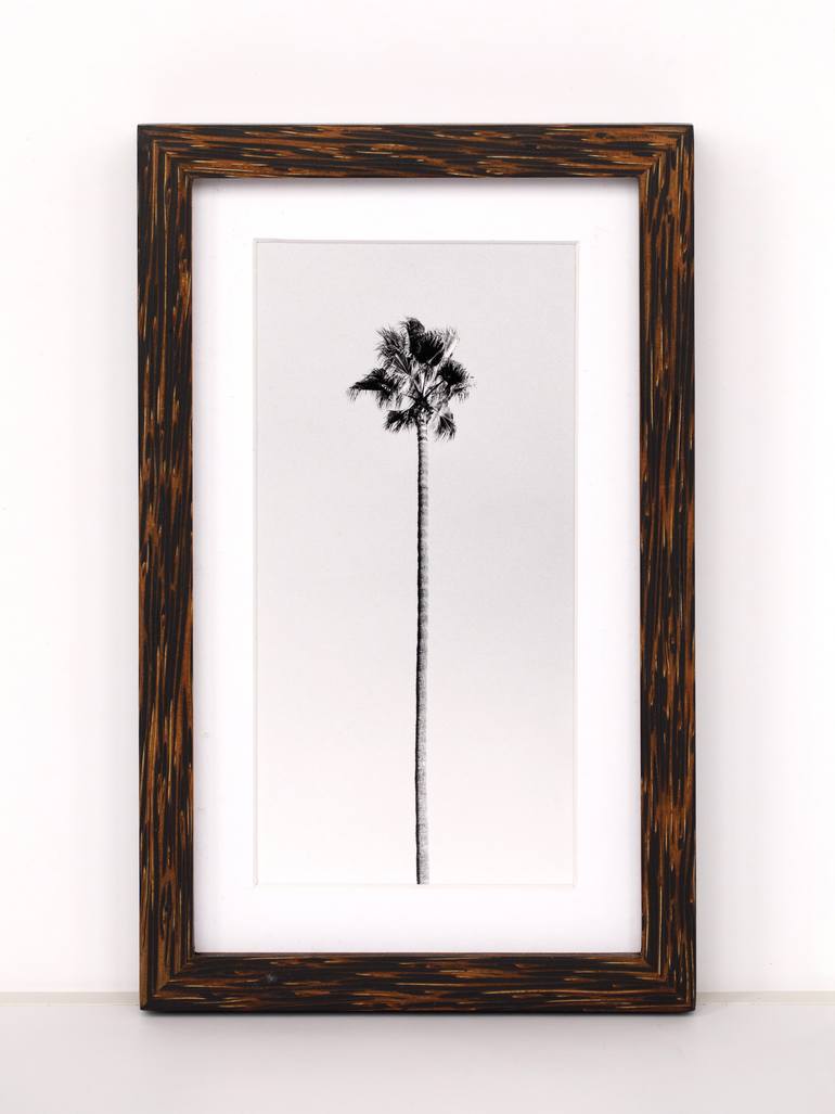 Original Abstract Landscape Photography by Jose Cardoza
