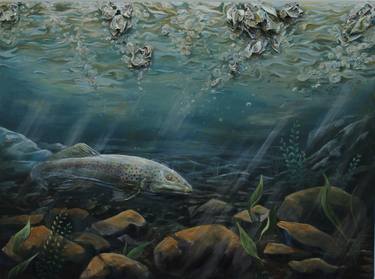 Print of Realism Fish Paintings by Amy Browning
