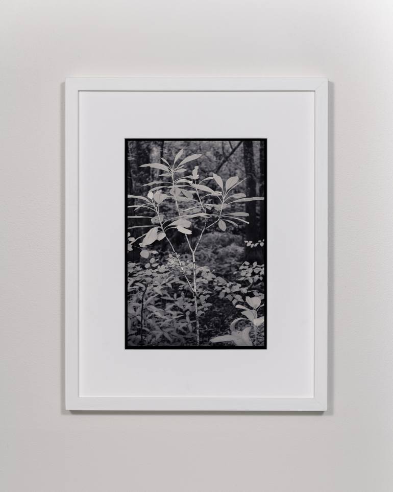 Original Black & White Landscape Photography by Ian Campbell