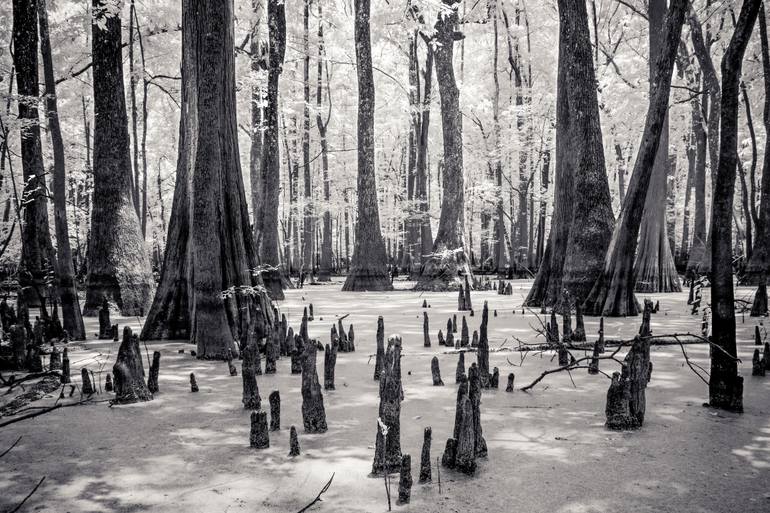 Original Black & White Landscape Photography by Ian Campbell